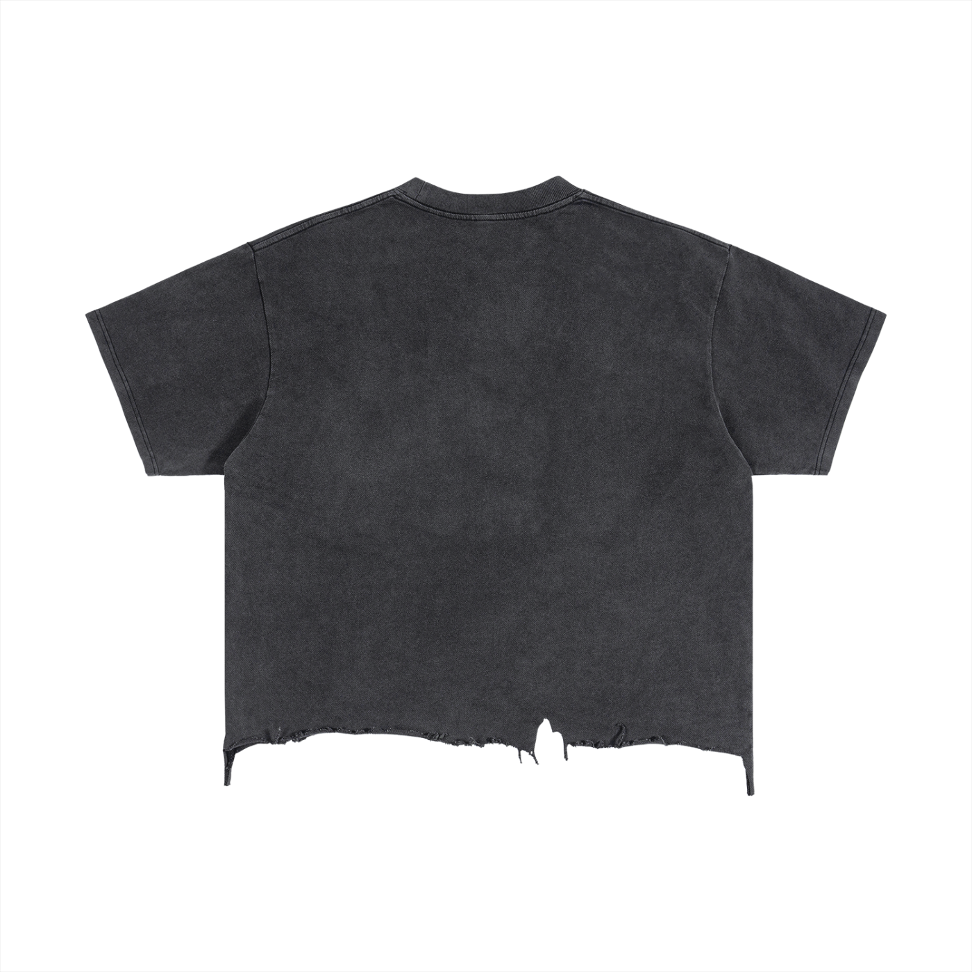 Vintage Distressed Tee- 'ALP'